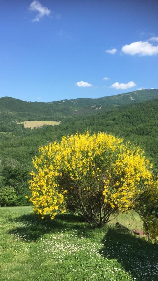 Nido D'Amore Nei Colori Dernice Ngoại thất bức ảnh